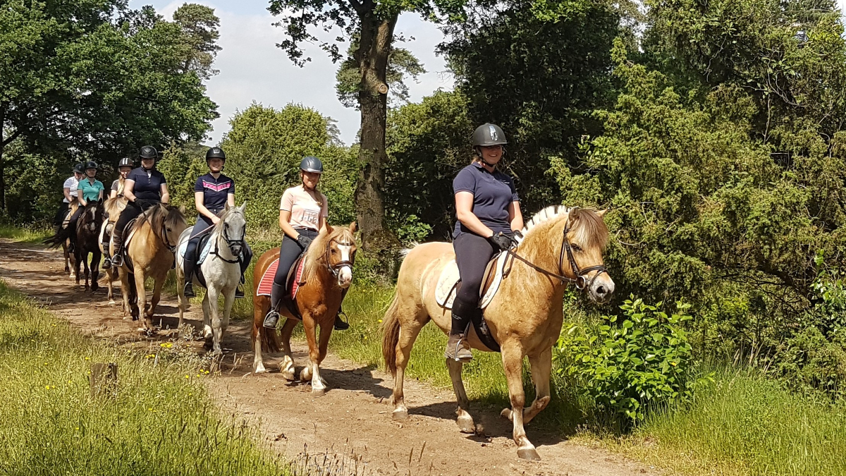 lamoen-buitenrit-bospad