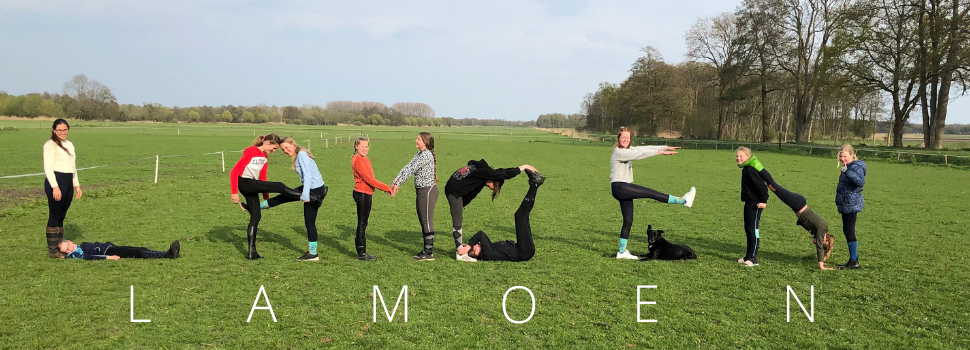 lamoen-gevormd-kinderen