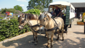 lamoen-huifkar-twee-paarden-opgesteld